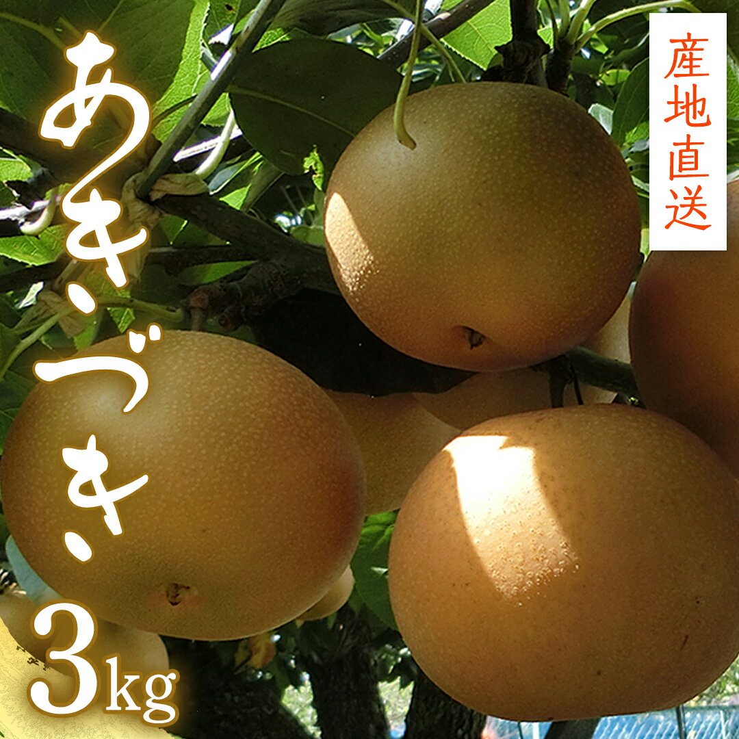 【ふるさと納税】【 産地直送 】 あきづき 3kg 先行予約 梨 フルーツ 果物 国産 日本産 梨 ナシ なし 和梨