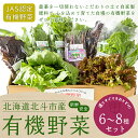 【ふるさと納税】【JAS認定有機野菜】北斗市産 有機野菜6～8種類野菜セット 紙箱入(季節で種類が変わります) 【 ふるさと納税 人気 おすすめ ランキング 野菜 詰め合わせ セット ベジタブル アラカルト 有機野菜 有機栽培 南瓜 かぼちゃ 北海道 北斗市 送料無料 】 HOKB020