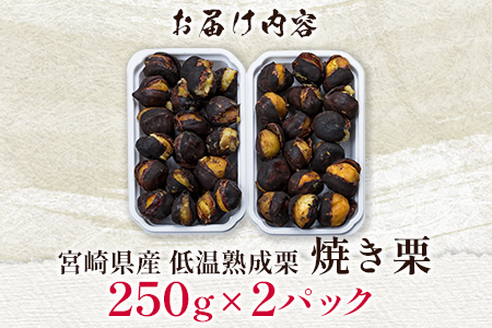 ＜先行予約＞宮崎県産 低温熟成栗［焼き栗］計500g（250g×2パック）おやつ 秋の味覚 お取り寄せ【B617-25】
