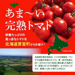 なまら十勝野の 旬 の 完熟 トマト を3~4品種 詰め合わせた 食べ比べ セット 野菜  北海道産 贈り物 お取り寄せ とまと カラートマト おまかせ アイコ ミックス もぎたて リコピン 新鮮 朝