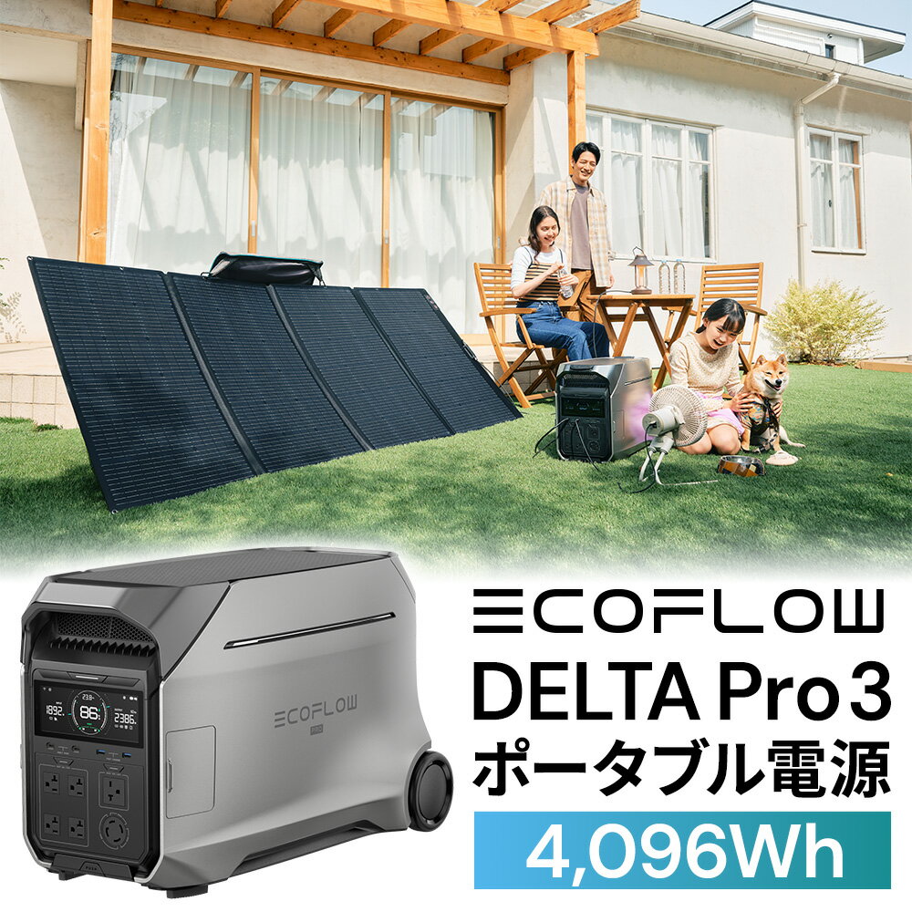【ふるさと納税】EcoFlow ポータブル電源（容量4,096Wh）DELTA Pro 3 エコフロー デルタプロ3