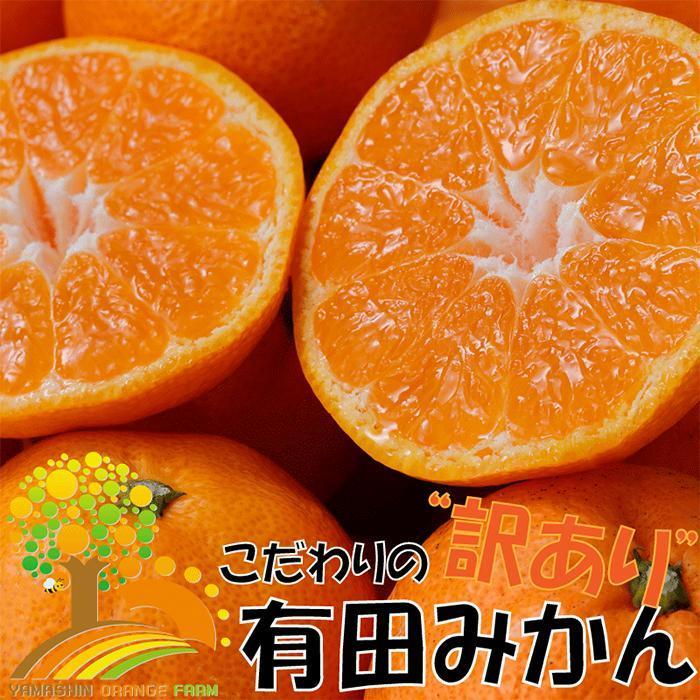 【訳あり】有田みかん 約5kg【2024年10月下旬より順次発送】 303446_BM1041