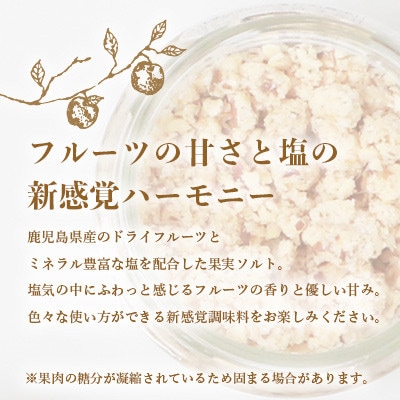 【毎月定期便】ドライフルーツソルト3種セット【りんご・たんかん・ブルーベリー】DD0-0004全3回【4050566】