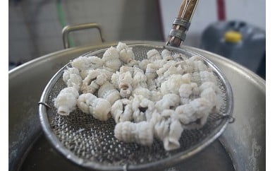のぞみ 湯引 はも 350g 【2025年5月上旬から12月上旬発送予定】