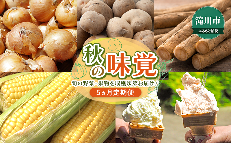 【2024年8月より発送】秋の味覚～旬の野菜・果物を収穫次第お届け！｜北海道 滝川市 ゴールドラッシュ ジェラート アイス 玉ねぎ 玉葱 ごぼう ゴボウ じゃがいも ジャガイモ きたあかり 野菜 デザート 定期便