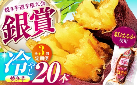【全3回定期便】紅はるか 冷やし焼き芋 20本 / 焼き芋 やきいも 焼きいも 焼いも 焼芋 さつまいも 紅はるか ねっとり しっとり 甘い おやつ 芋 スイーツ / 亀山市 / 芋笑[AMBU020]