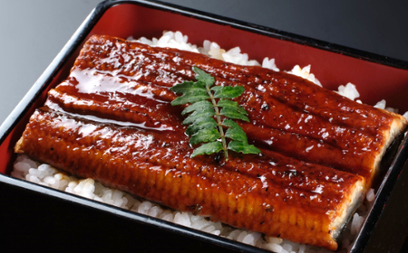 【数量限定】うなぎの蒲焼きとかつおのたたき　食べ比べセット（カット済）　鰹 カツオ 鰻 ウナギ 刺身 刺し身 惣菜 おかず 冷蔵 魚 魚介 海鮮 カツオタタキ 10000円 kd038