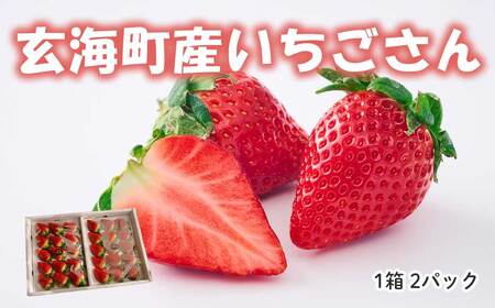 ★予約受付★平川いちご農園 佐賀県玄海町産いちご「いちごさん」2025年1月～4月順次配送【D024】