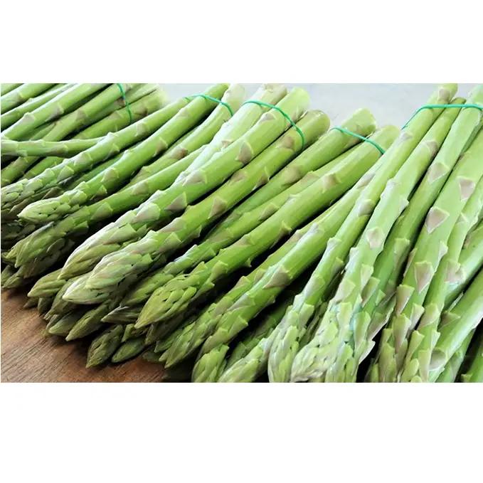 砂川さんの特選 アスパラ 1kg Lサイズ【さぬきのめざめ】 アスパラガス 冷蔵便 野菜 甘い 美味しい グリーンアスパラ 1万円以下 野菜セット 新鮮 旬 とれたて お取り寄せ 小分け BBQ 自宅