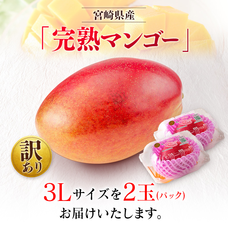 先行予約 ＜訳あり＞ 完熟マンゴー 宮崎県産 3Lサイズ 2玉 フルーツ 果物【B616-26】_イメージ5