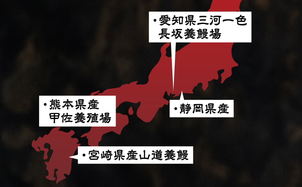 ふっくら肉厚！『国産うなぎ』　蒲焼　特大 4尾