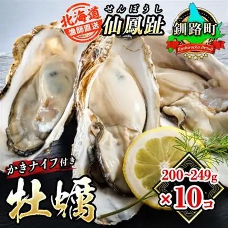 仙鳳趾名産 牡蠣 200～249g×10個+かきナイフ付K4-5_せんぽうし 牡蠣 生食用 殻付き 牡蠣 絶品 産地直送 北海道 釧路町 釧路超 特産品 _【配送不可地域：離島・沖縄県・信越、北陸・東海・近畿・中国・四国・九州】【1294864】