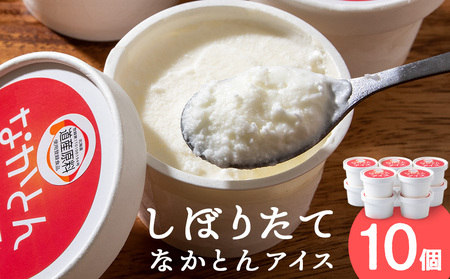 アイス セット アイスクリーム 10個 ギフト スイーツ 洋菓子 お菓子 牛乳 北海道牛乳 北海道ふるさと納税