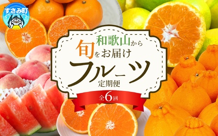 定期便【全6回】和歌山旬のフルーツ定期便【tkb314】