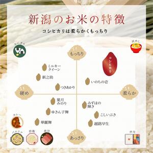 新潟産コシヒカリ 5kg 米 精米