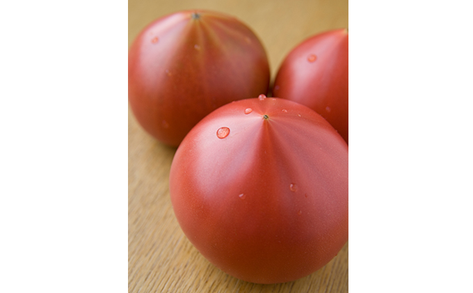 トマト（大玉系）約4kg