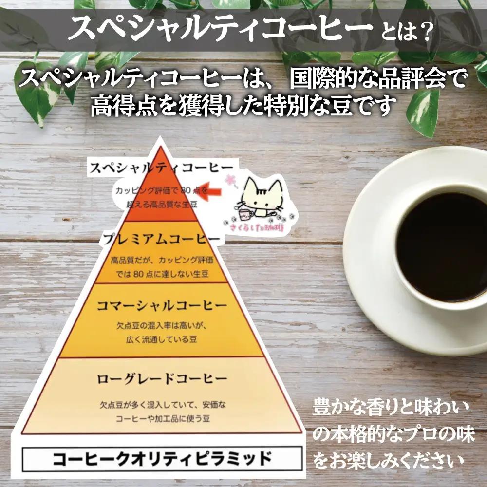 スペシャリティコーヒードリップバッグコーヒー　オリジナルブレンド各12g×12個| ドリップコーヒー セット  珈琲 オフィス 贈答 ギフト プレゼント さくらした珈琲