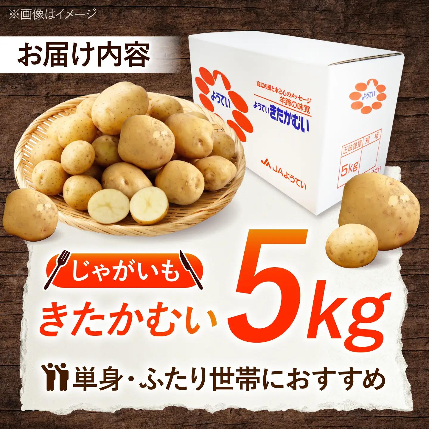 【2027年1月上旬以降順次発送】 じゃがいも きたかむい 5kg | じゃがいも ジャガイモ きたかむい 野菜 季節の野菜 北海道 産地直送 先行予約 | 株式会社Aコープようてい[BPAT007]