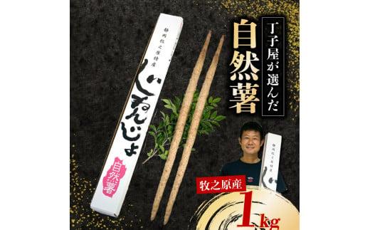 074-3　【R7年12月上旬からの発送】　丁子屋が選んだ 自然薯 台地のご馳走 1kg 新鮮 健康 長寿 とろろ 静岡県 牧之原市 ヤマゴ増田製茶