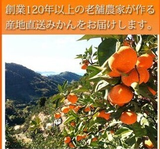 G7325_F_【ご家庭用訳アリ】紀州有田産濃厚甘熟温州みかん 2kg