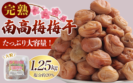梅干し 無添加 完熟南高梅 白梅干し 1.25kg 塩分約20％ 完全無添加 サイズ混合 ご家庭用 【2025年9月より発送予定】 / 梅 うめ ウメ 梅干し 梅干 南高梅 白干梅干し 白干し 白梅 白梅干し 完熟梅干し 大粒 和歌山県 北山村 梅干し【njb647-1】