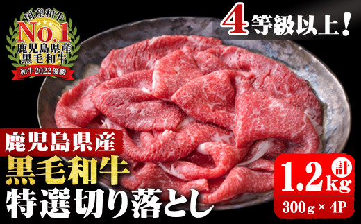 
【2023年12月末までに配送】4等級以上 鹿児島県産 黒毛和牛特選切り落とし 計1,200g (300g×4P) b0-163-D-2312
