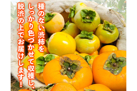 【訳あり】まーくん家のたねなし柿 2kg かき 種なし きただ農園まーくん家 《2025年9月下旬-10月末頃出荷》 和歌山県 紀の川市