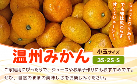 ＜fululy直送 温州みかん 訳あり 約3kg 小玉サイズ（3S〜S）＞ ワケアリ サイズ混合 小玉 果物 フルーツ 蜜柑 うんしゅうみかん ウンシュウミカン 柑橘 家庭用 合同会社fululy 直