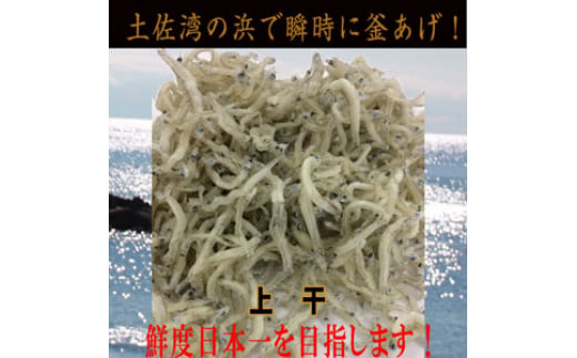 
ちりめんじゃこ (上干) 約300g鮮度日本一を目指します！浜で瞬時に釜揚げ 【グレイジア株式会社】 [ATAC424]
