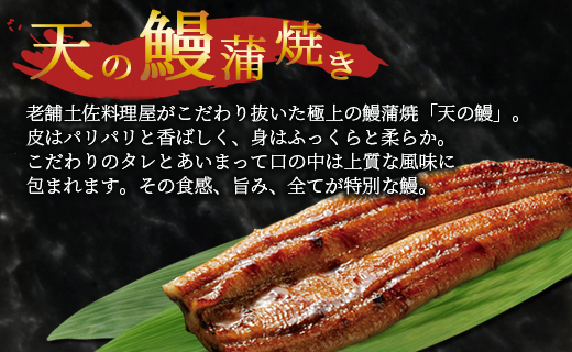 戻り鰹たたき 2節+天の鰻蒲焼き 2袋 (合計約550g+合計260g) - 送料無料 かつお カツオ うなぎ ウナギ 蒲焼き かばやき 魚 さかな 肴 おつまみ のし 熨斗 対応可 配送時間帯指定可