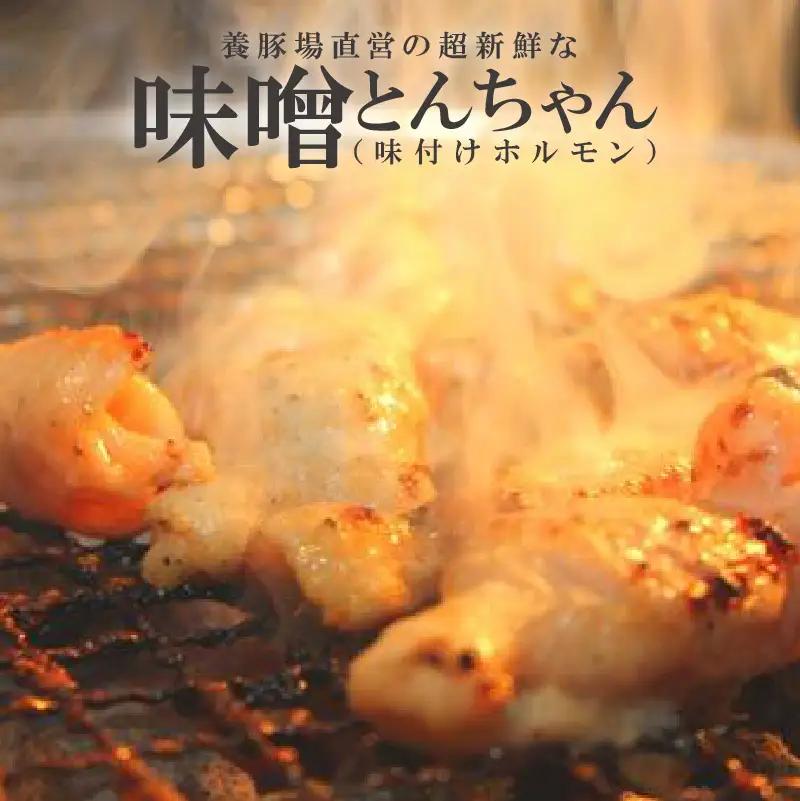 養豚場直営の超新鮮な味噌とんちゃん（味付けホルモン） ブリオ あいぽーく 豚肉 国産 ブランド豚 焼肉 炒め物 バーベキュー BBQ 惣菜 冷凍 味噌 ホルモン 小分け 人気 大腸 小腸 ハツ ガツ レバー とんちゃん 味付け肉 美味しい お取り寄せ グルメ 愛知県 常滑市