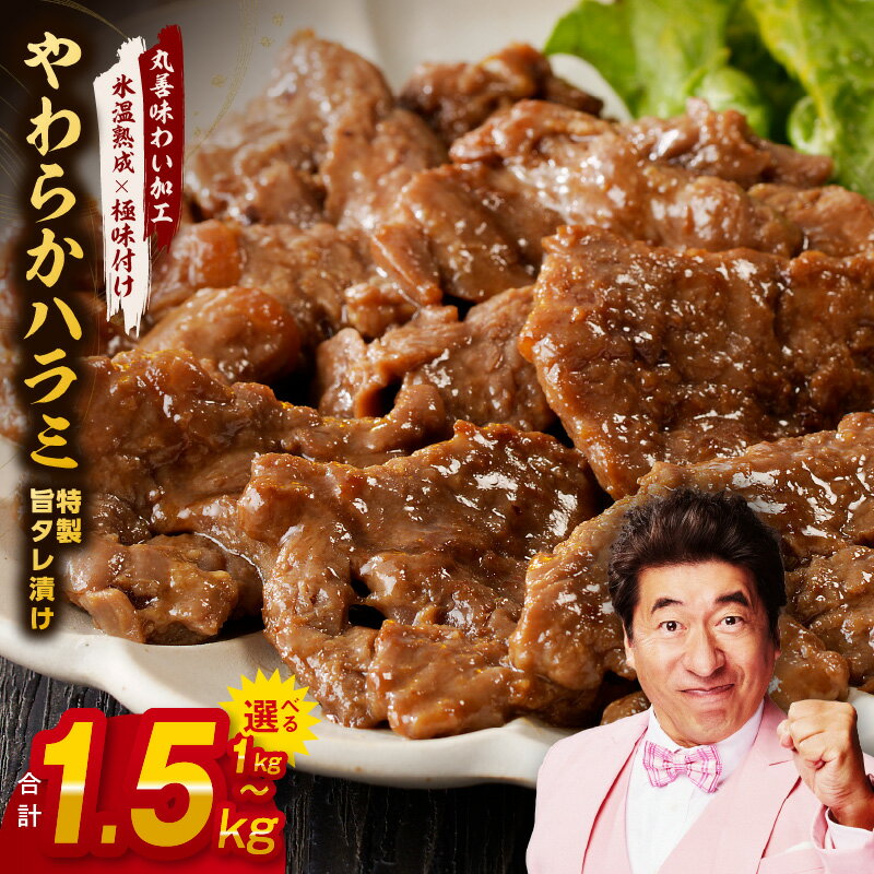 【ふるさと納税】【訳あり】 やわらかハラミ 1kg / 1.5kg 特製旨タレ漬け 味付き 不揃い 牛肉 【氷温熟成×極味付け】 牛 ハラミ タレ漬け 焼肉 BBQ バーベキュー 定番 簡単 焼くだけ 旨味 氷温熟成牛 牛肉 熟成肉 小分け 氷温熟成 作り方 限定 発送月 泉佐野市 肉の泉佐野