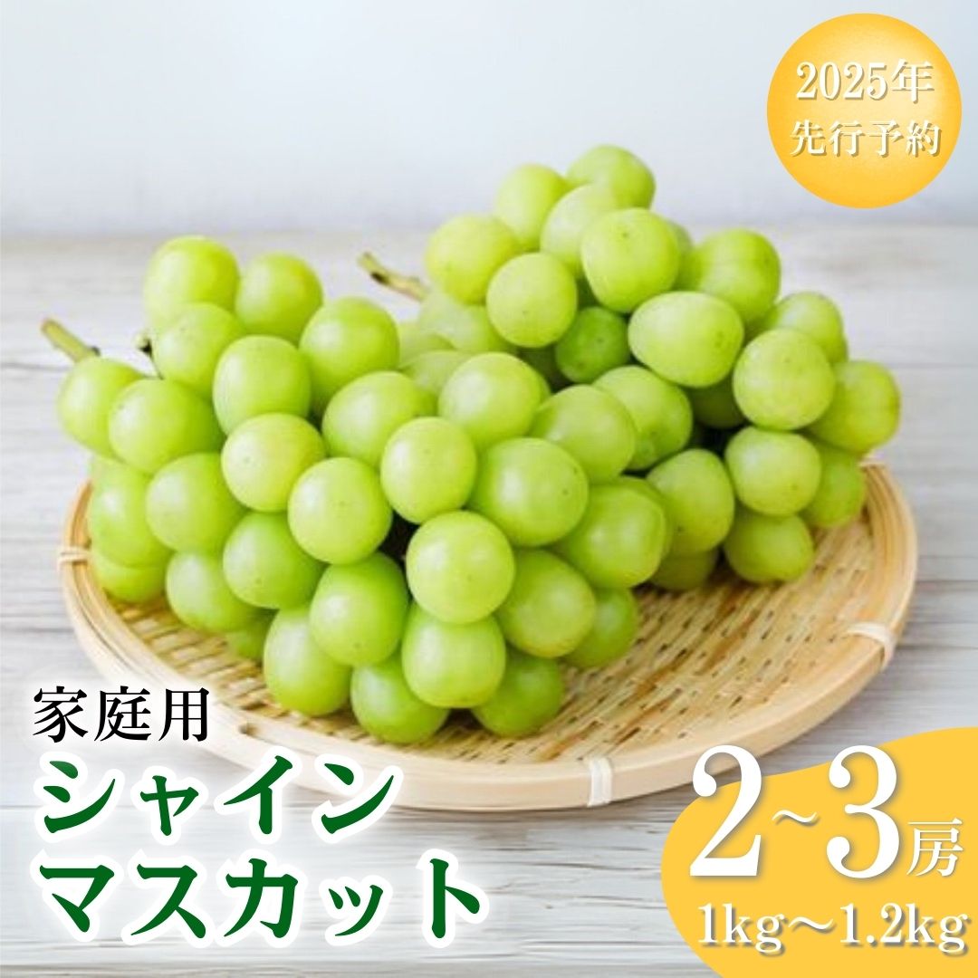 【ふるさと納税】【2025年先行予約】【9月中旬~発送予定】シャインマスカット 1~1.2kg 2~3房 家庭用 訳あり 島田農園 | 果物 フルーツ ぶどう 葡萄 ブドウ 白ぶどう 種なし 皮ごと 特産品 千曲市