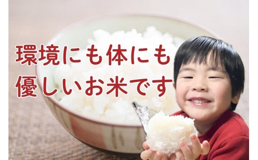 ＜令和8年産 新米受付＞《定期便7ヶ月》米 特別栽培米 あきたこまち【白米】3kg×1袋 [先行予約 新米 米 お米 こめ 白米 精米 特別栽培米 あきたこまち ブランド米 秋田県産]
