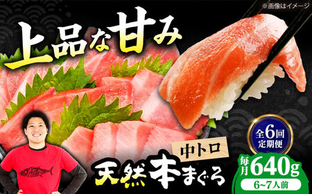 【全6回定期便】たね熟天然本まぐろ中トロ(640g) [AOCE035] まぐろ まぐろ まぐろ まぐろ まぐろ まぐろ