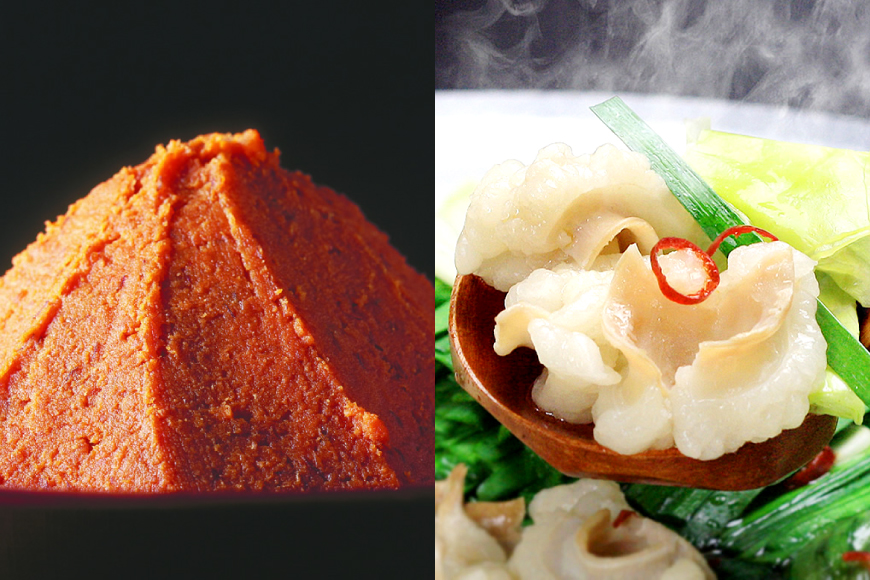 もつ鍋 セット 味噌 4～6人前 [ベネフィス 福岡県 宇美町 um40azp190024] 国産 牛もつ 具材 モツ鍋 牛ホルモン