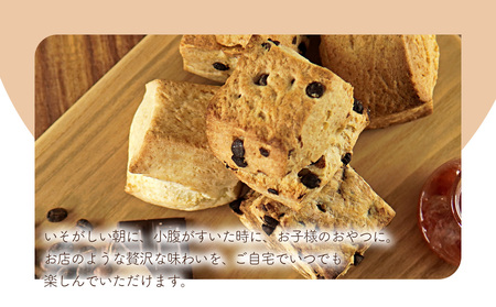 国産発酵バター仕込み濃厚リッチな九州産生クリームスコーン クルミチョコ7個セット | お菓子 菓子 おかし 洋菓子 焼き菓子 イギリス菓子 チョコスコーン クルミ おやつ デザート スイーツ 手作り 