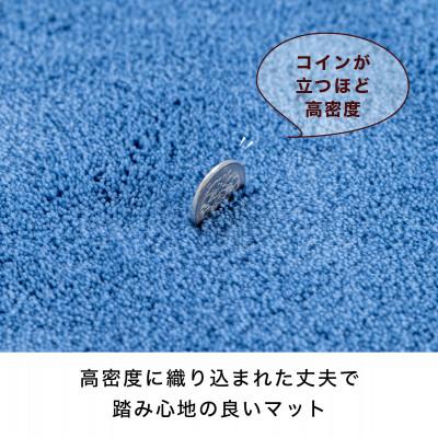 ふるさと納税 海南市 玄関マット シエラ 30×110cm ブルー ウィルトン織り 日本製 ギャッベ 洗える 室内 風水 |  | 02