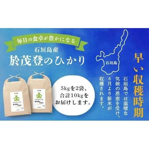 石垣島産 於茂登(おもと)のひかり 10kg みやぎ米屋　MK-2 