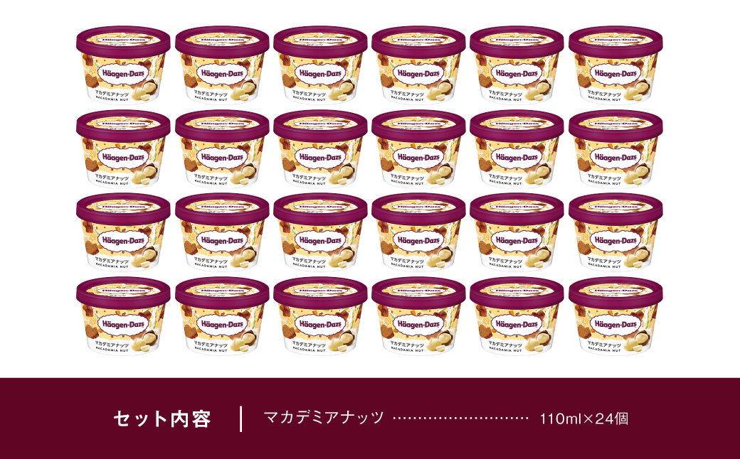 ハーゲンダッツ『ミニカップ24個セット(マカデミアナッツ味)』アイスクリーム アイス スイーツ デザート_H0016-131