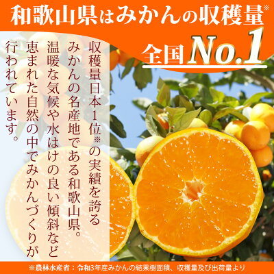 AT6255n_【2025年先行予約】 有田みかん 約10kg ご家庭用 和歌山 ゆら早生 極早生 (SS、Sサイズ)【湯浅町】