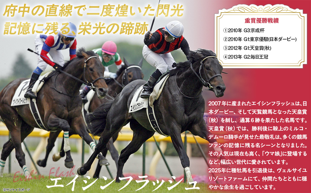 【エイシンフラッシュ】(グレー）プルオーバーパーカー裏起毛_Sサイズ BRTV027-1