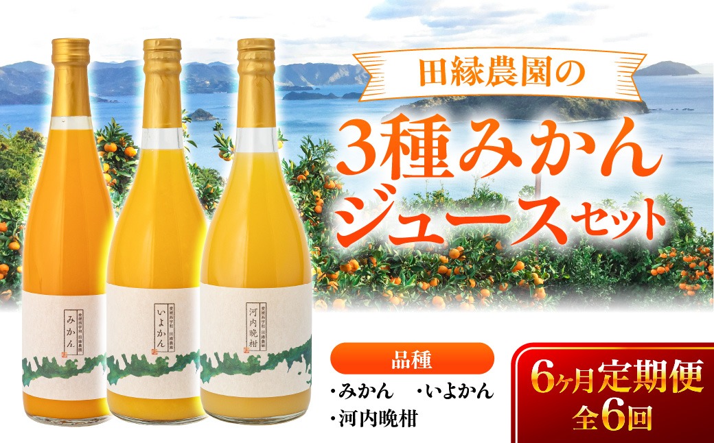 【6ヶ月定期便】田縁農園 3種みかんジュース（みかん いよかん 河内晩柑）セット 全6回 IKTA050