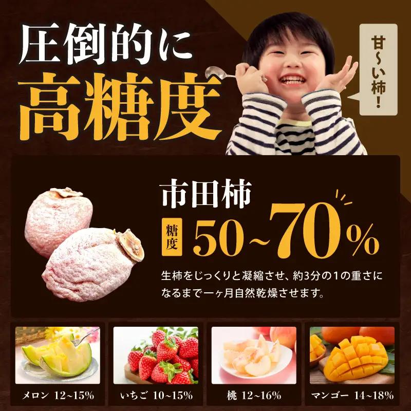 信州の特産品「市田柿」ご家庭用 500g 〈2027年1月中旬～2月下旬発送〉 | 長野県 飯田市