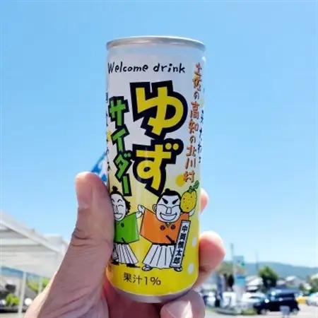 【毎月定期便】ゆずサイダー30本/1ケース全6回【4052673】