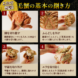 北海道産活蒸し毛蟹約約250g～約290g×2尾【er001-108】