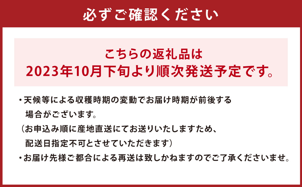 【訳あり】 温州みかん 約10kg