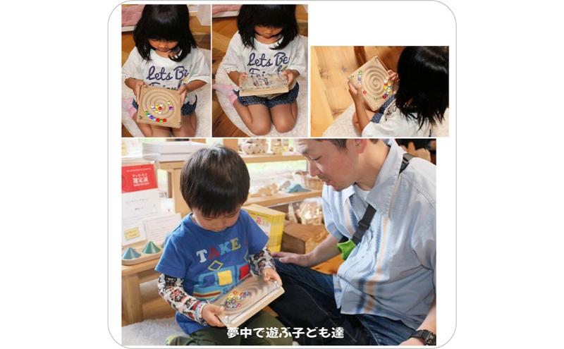 木のおもちゃ/アンドロメダ銀河 psc 知育玩具 おすすめ 型はめ 木のおもちゃ パズル 男の子 女の子 赤ちゃん おもちゃ 1歳半 2歳 2歳半 3歳 4歳 5歳 6歳 7歳 誕生日ギフト 誕生祝い