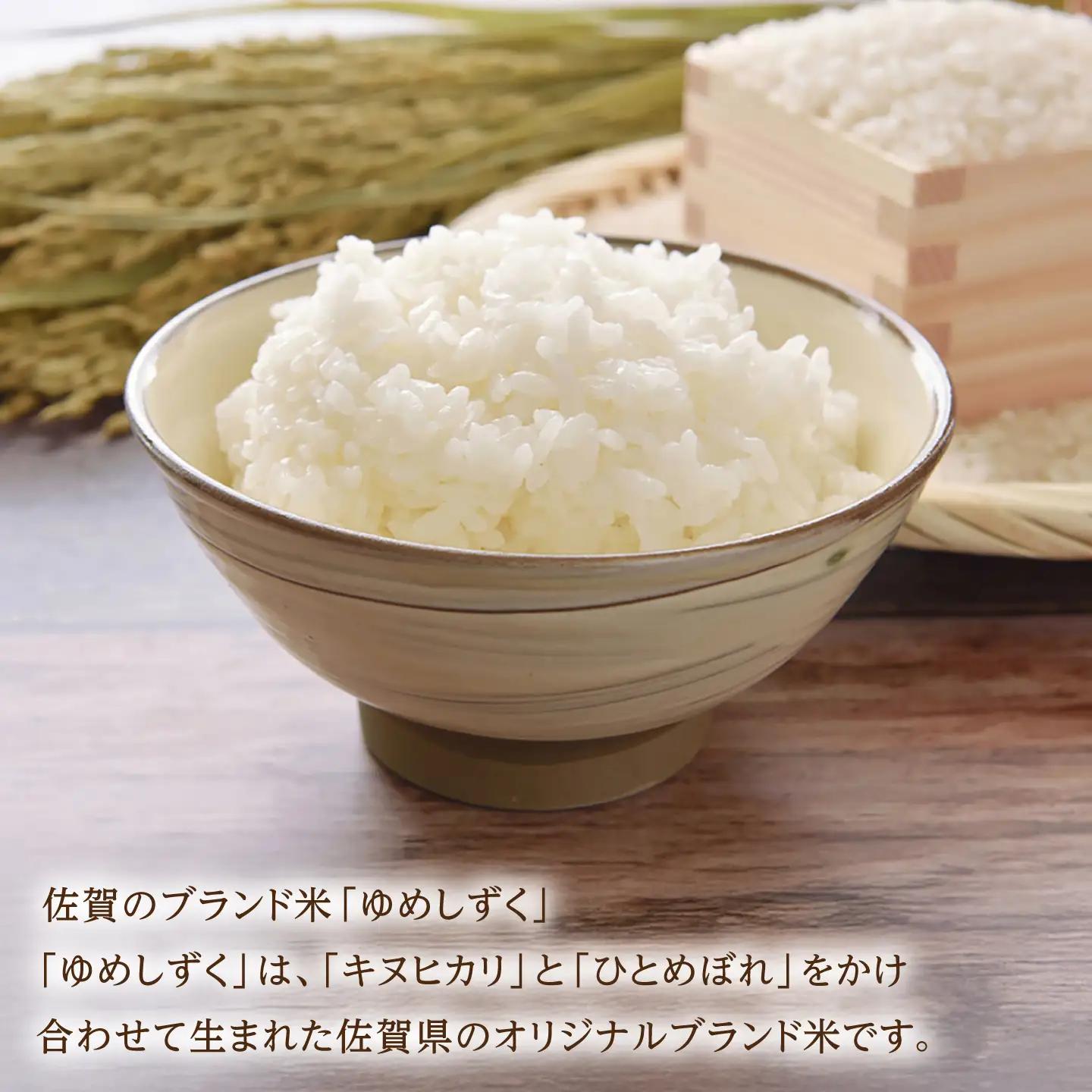 令和7年産 ゆめしずく5kg 白米 / 佐賀県 白米 [41AGAC002]