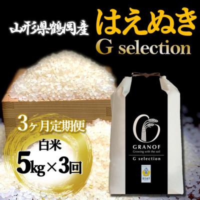 ふるさと納税 鶴岡市 【毎月定期便】山形県産 はえぬき Gセレクション 白米 5kg全3回